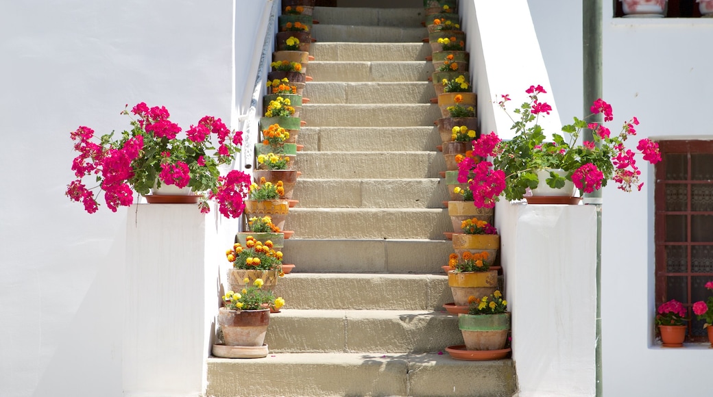 Monasterio de Cozia ofreciendo flores