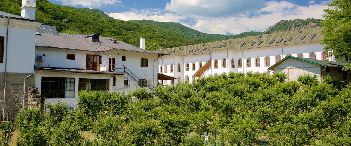 Cozia Monastery