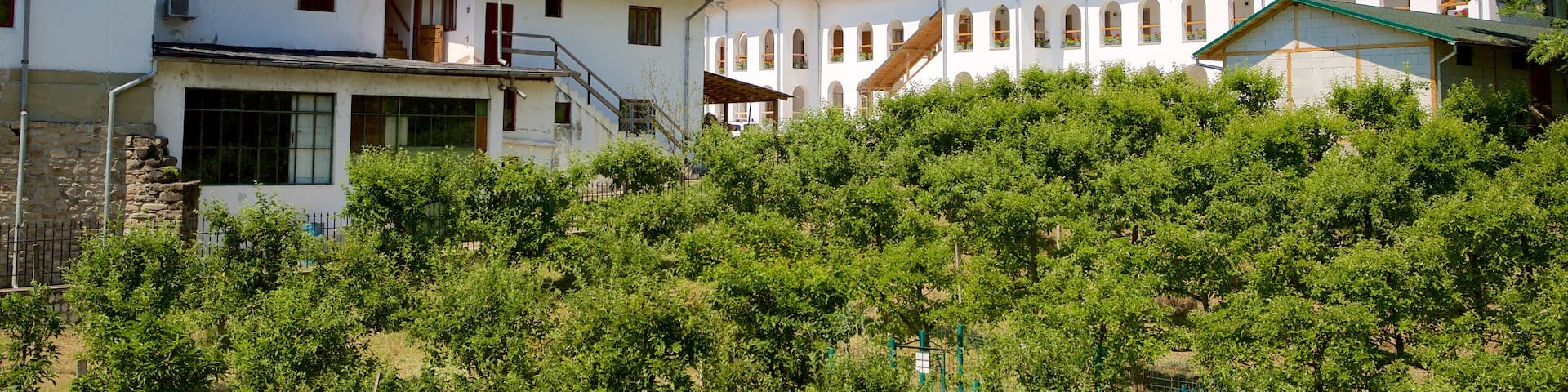 Cozia Monastery