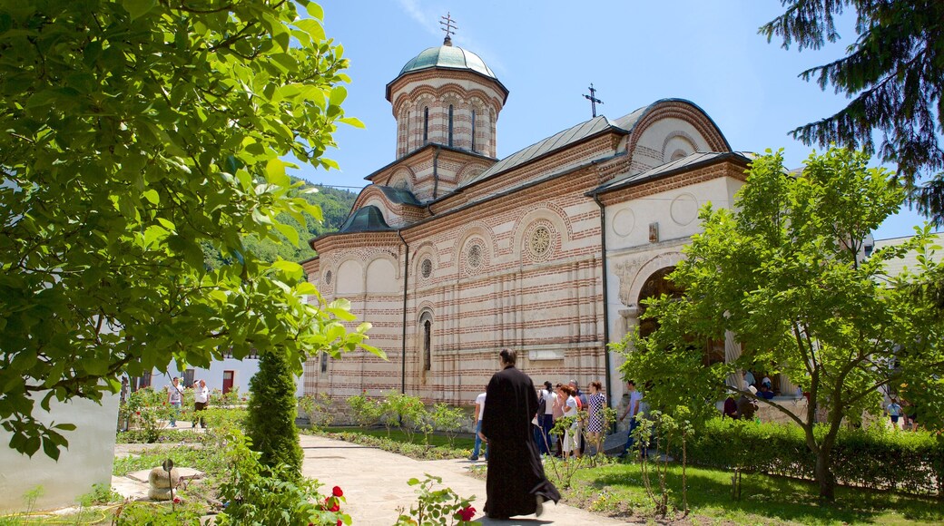 Monastère de Cozia mettant en vedette église ou cathédrale et aspects religieux