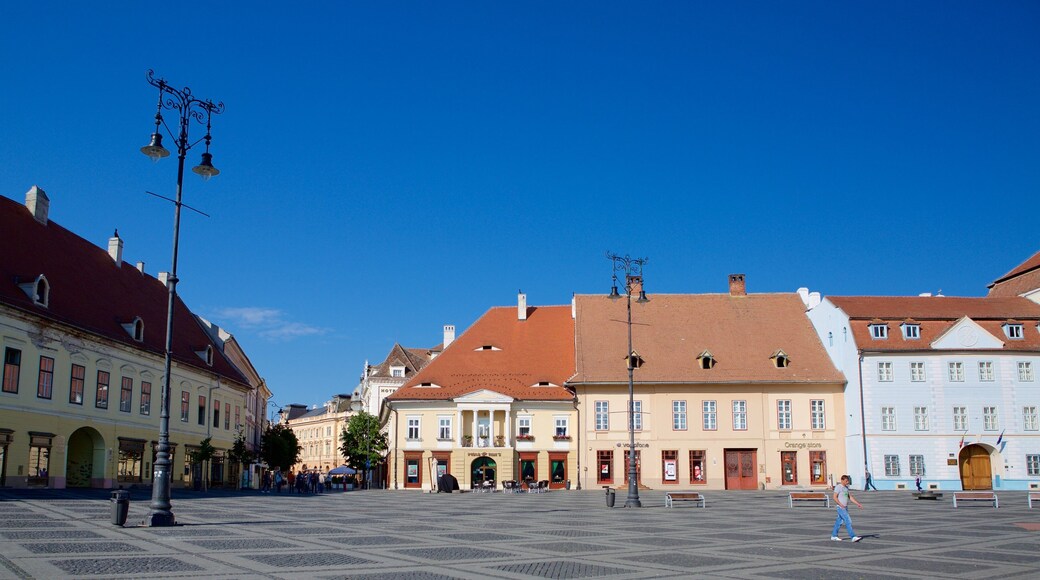 Piata Mare showing a square or plaza