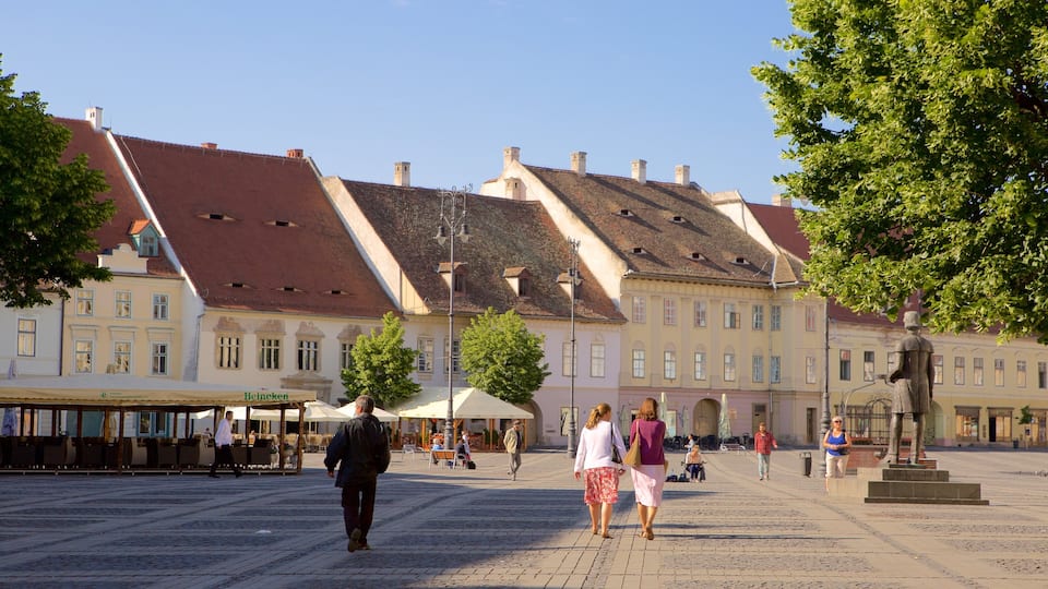 Piata Mare which includes a square or plaza and heritage architecture