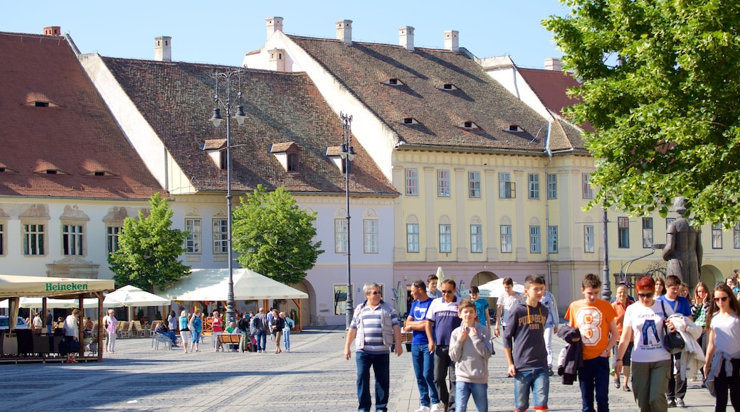 Piata Mare featuring heritage architecture as well as a large group of people