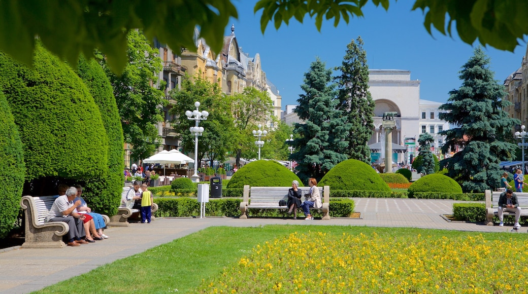 Piata Victoriei das einen Garten