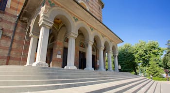 Rumänsk-ortodox katedral som visar religiösa element, historisk arkitektur och en kyrka eller katedral