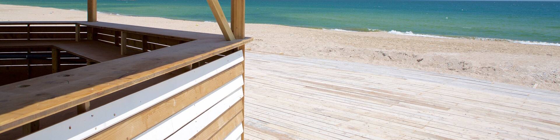 Costinesti Beach which includes a beach