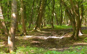 Uo Cln3wer3bm Uo Cln3wer3bm