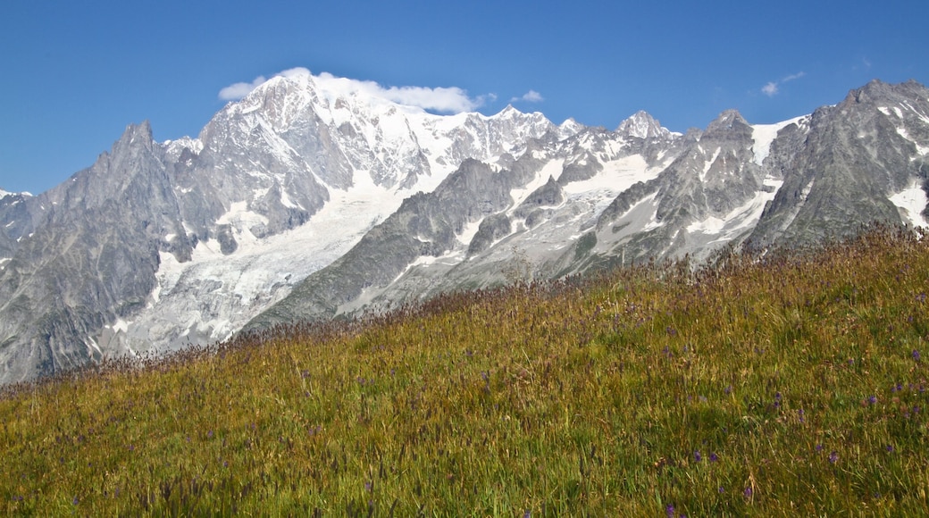 Photo provided by Antonio Furingo/Courmayeur Mont Blanc