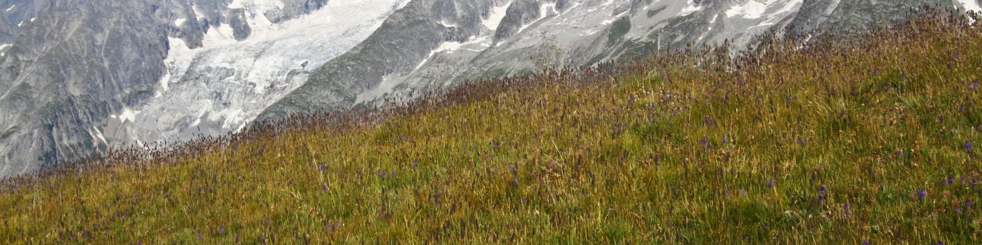 Courmayeur ofreciendo nieve y montañas