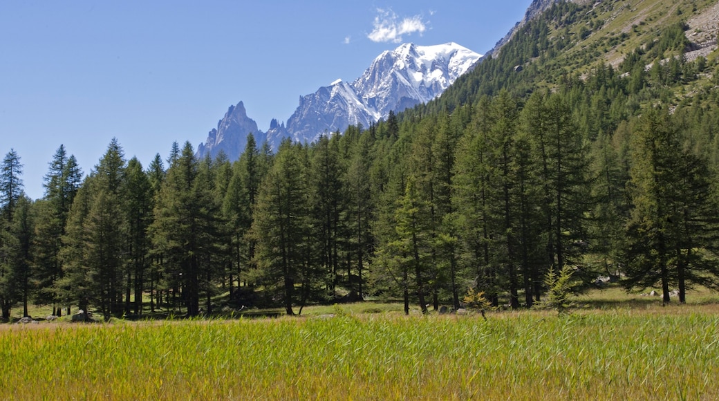 Photo provided by Eleonora Greco/Courmayeur Mont Blanc