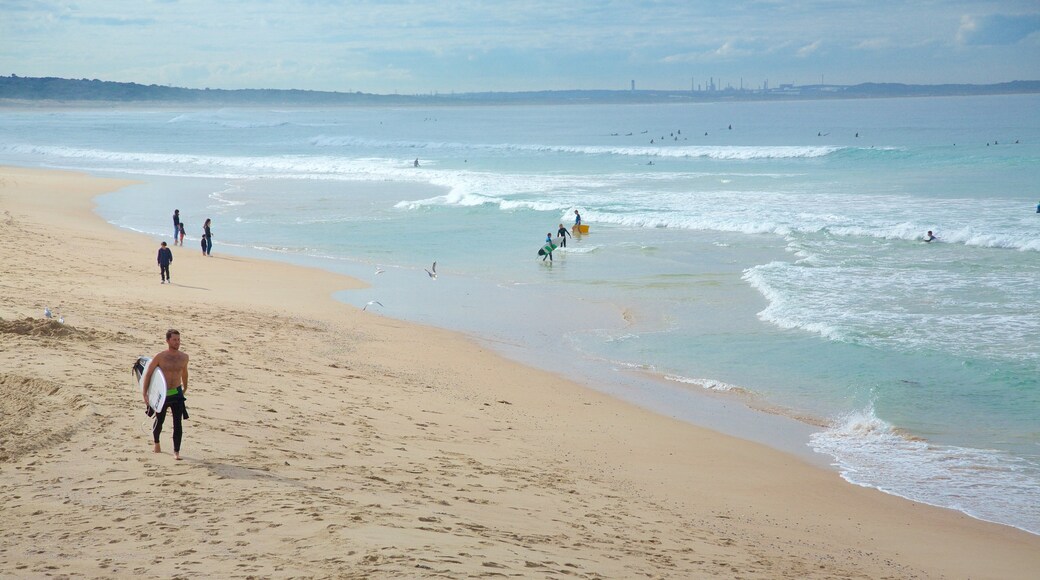 Cronulla Beach featuring a beach