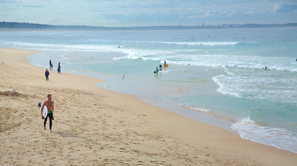 Cronulla Beach featuring a sandy beach