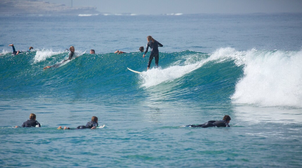 Cronulla Beach featuring surf and surfing