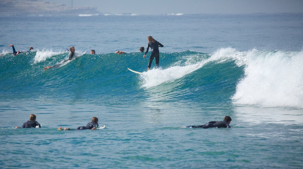 Cronulla Beach featuring surfing and waves