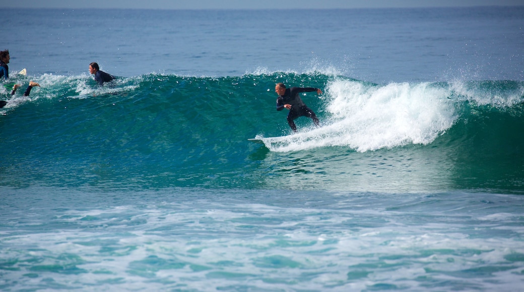 Cronulla Beach showing waves, general coastal views and surfing