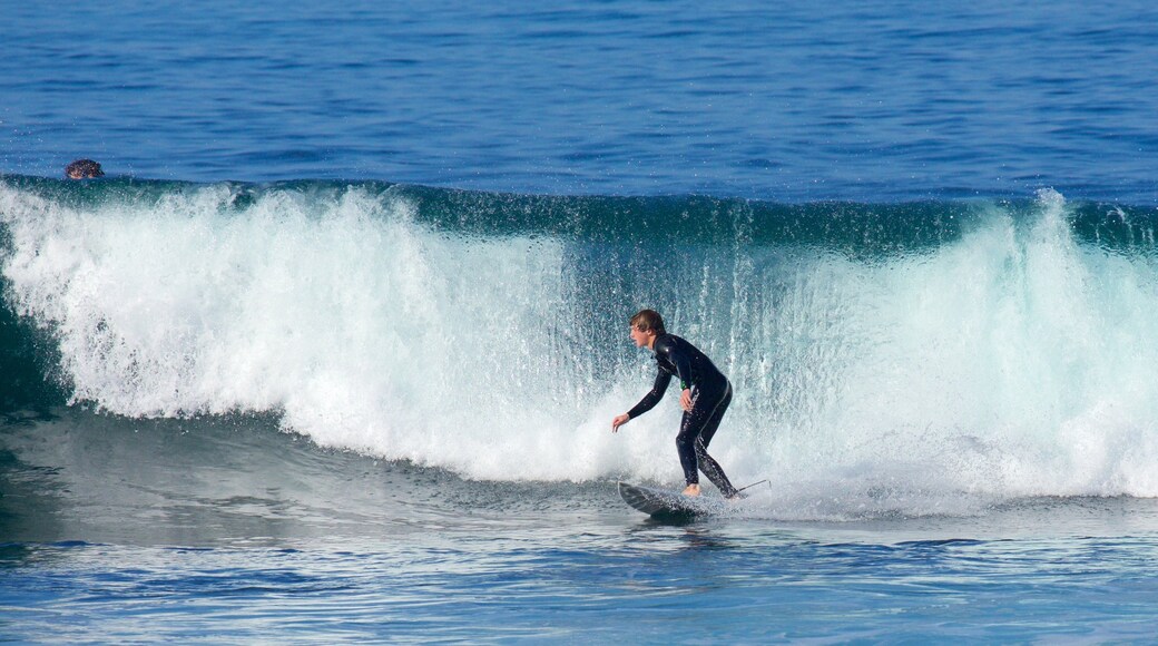 Cronulla Beach featuring surfing and waves