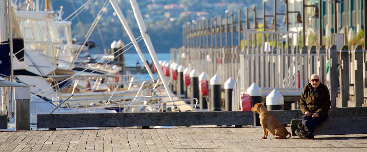 Woolloomooloo as well as an individual male