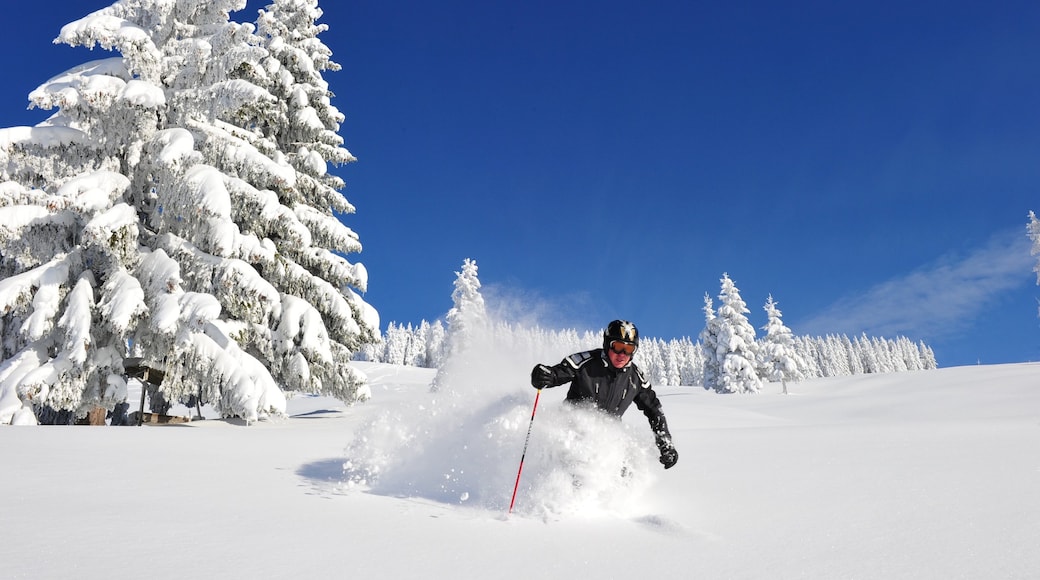 Foto fornecida por SkiWelt Wilder Kaiser-Brixental