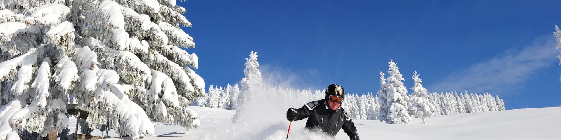 Scheffau am Wilden Kaiser welches beinhaltet Schnee und Skifahren