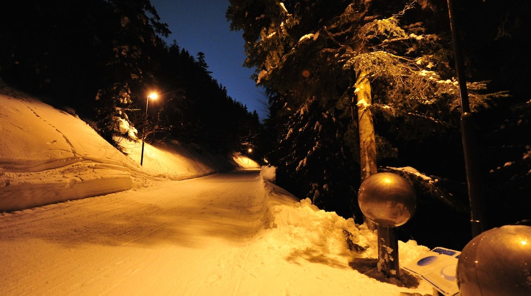 Foto proporcionada por SkiWelt Wilder Kaiser-Brixental