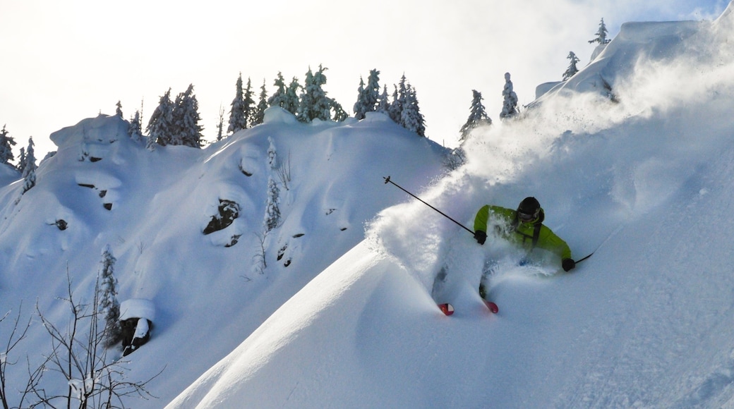 Photo provided by Tim Marcour/SkiWelt Wilder Kaiser-Brixental