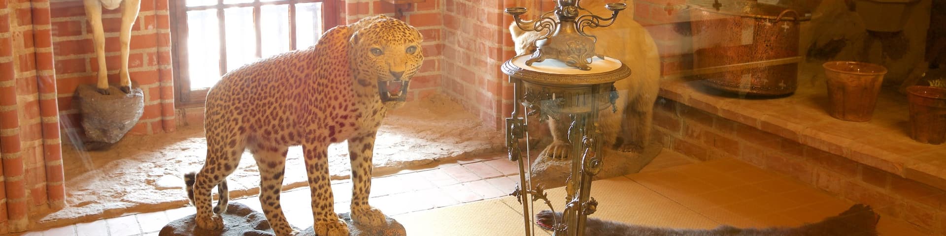 Inselschloss Trakai das einen Innenansichten