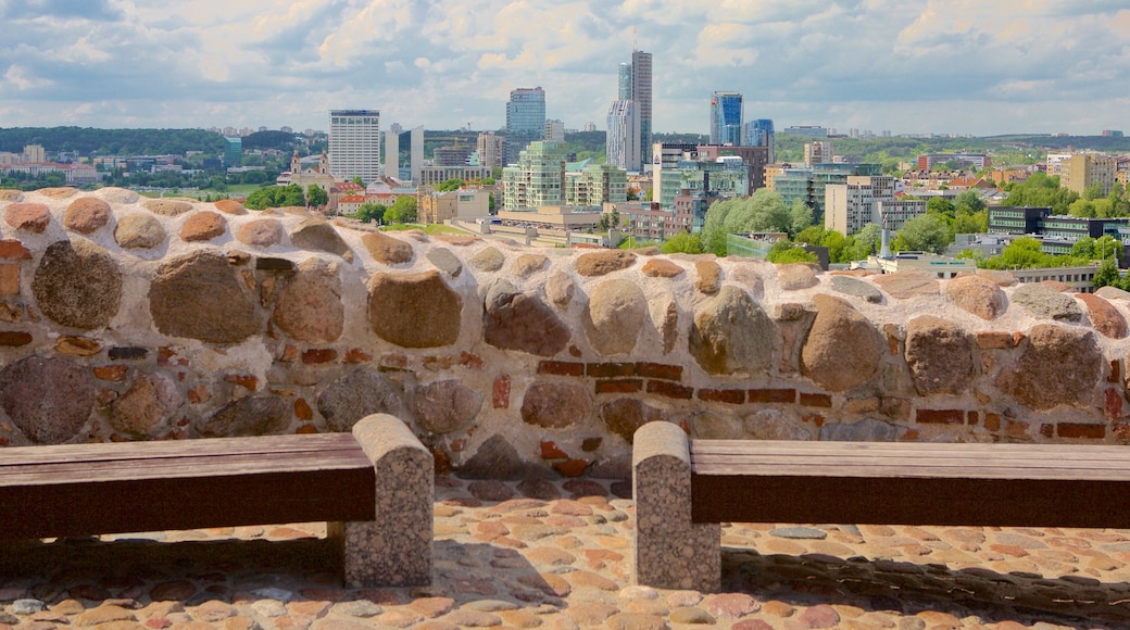 Vilnius bevat landschappen en vergezichten