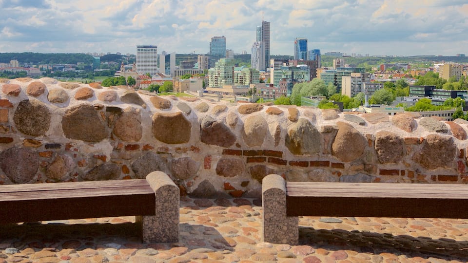 Vilna que incluye vistas panorámicas y vistas