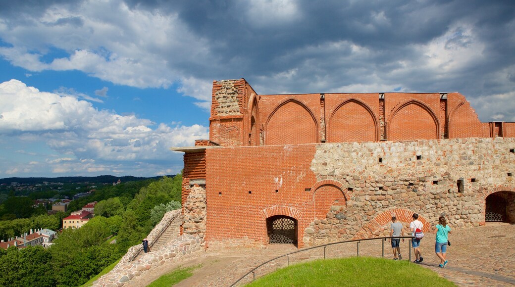 Vilnius som inkluderar chateau eller palats