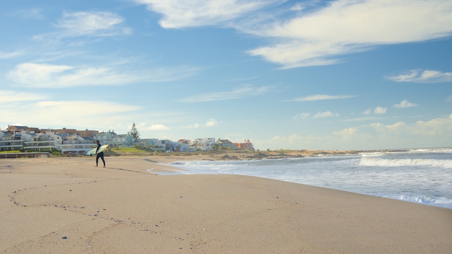 Bikini Beach showing a sandy beach