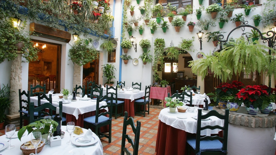 Cordoba showing a garden