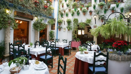 Cordoba showing a garden