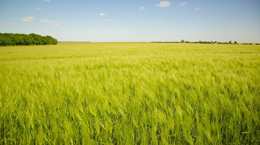 Centre - Loire Valley showing tranquil scenes