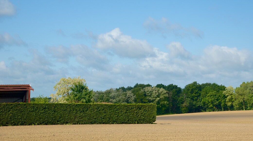 Centre - Loire Valley featuring farmland