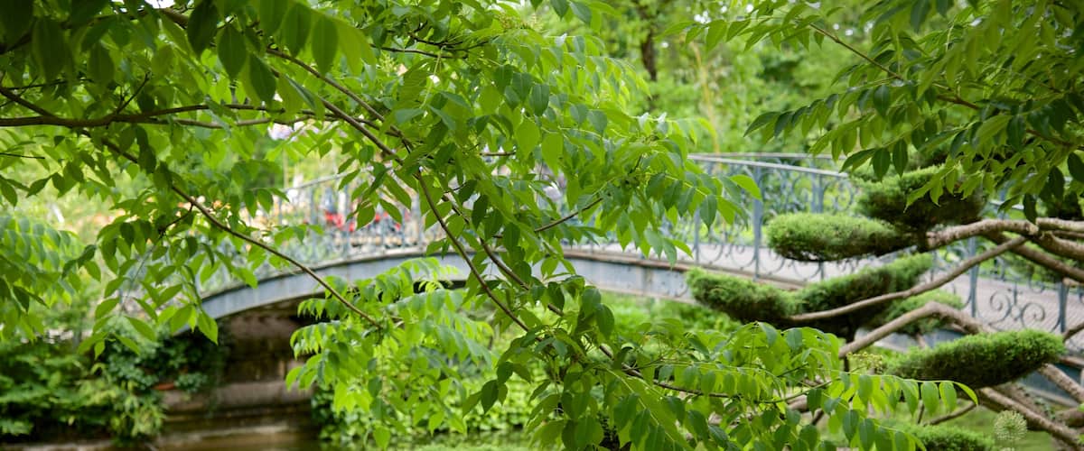 Jardin Public showing a park and a bridge