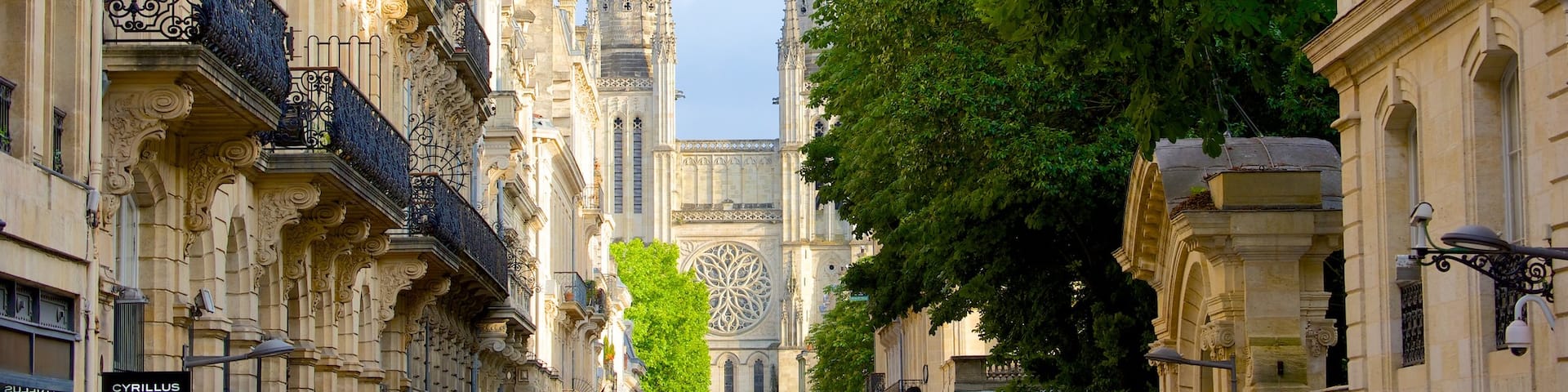 Cathédrale Saint-André montrant patrimoine architectural