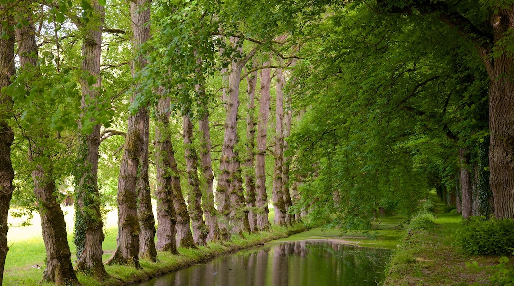 Chateau de Chenonceau featuring a river or creek and forest scenes