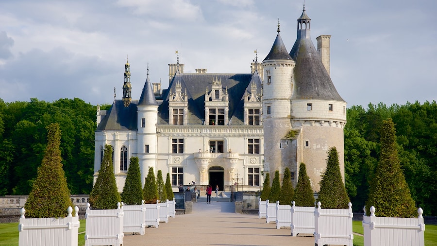 Chateau de Chenonceau mostrando castillo o palacio