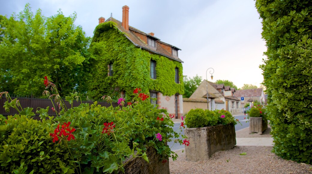 Chenonceaux showing flowers