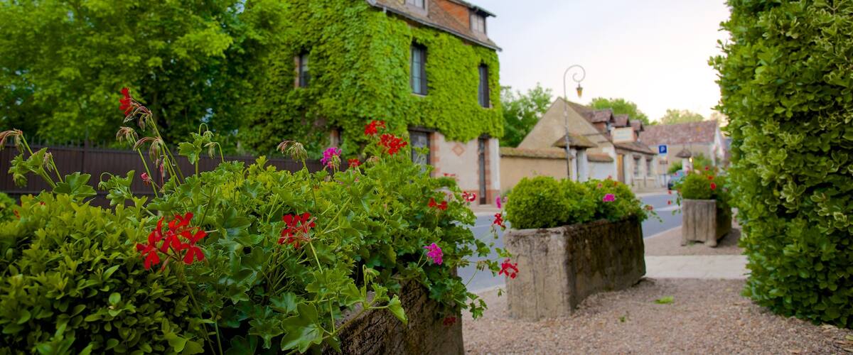 Chenonceaux showing flowers