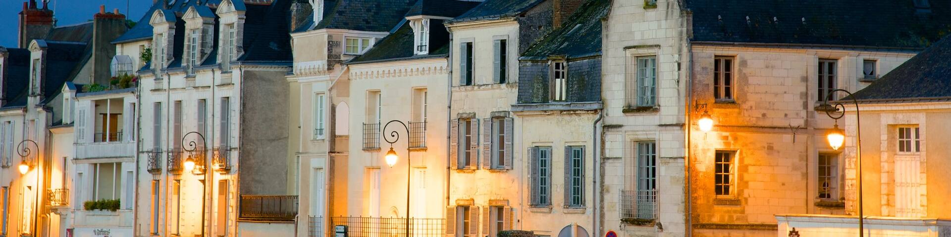 Amboise welches beinhaltet Stadt und bei Nacht