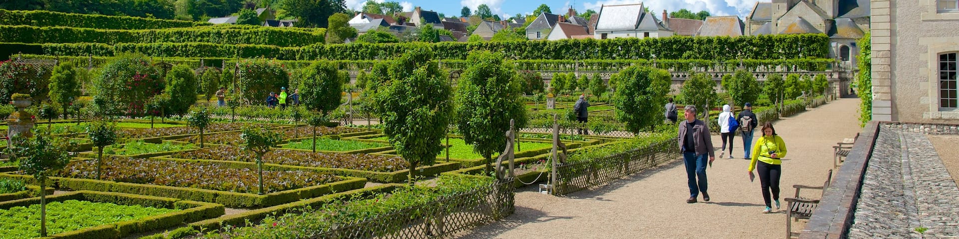 Chateau de Villandry featuring a park