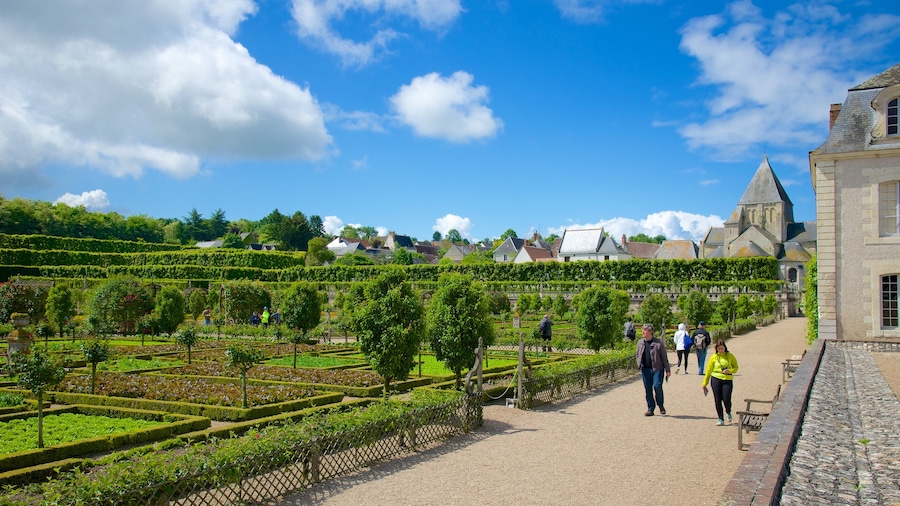 Château de Villandry bevat een park