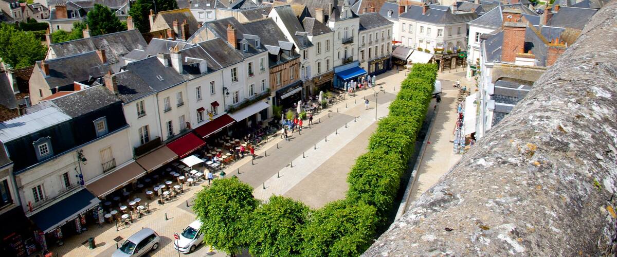 Amboise bevat een klein stadje of dorpje