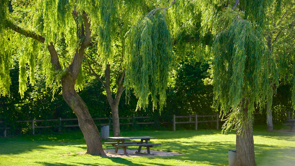 Indre-et-Loire which includes a park