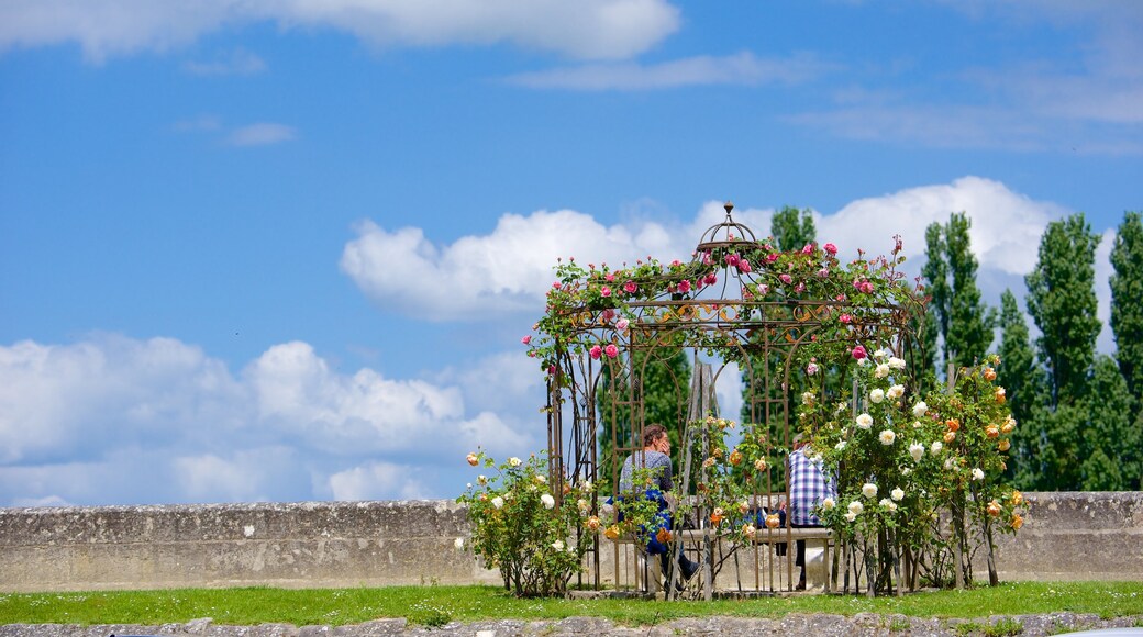 Amboise which includes flowers and a garden
