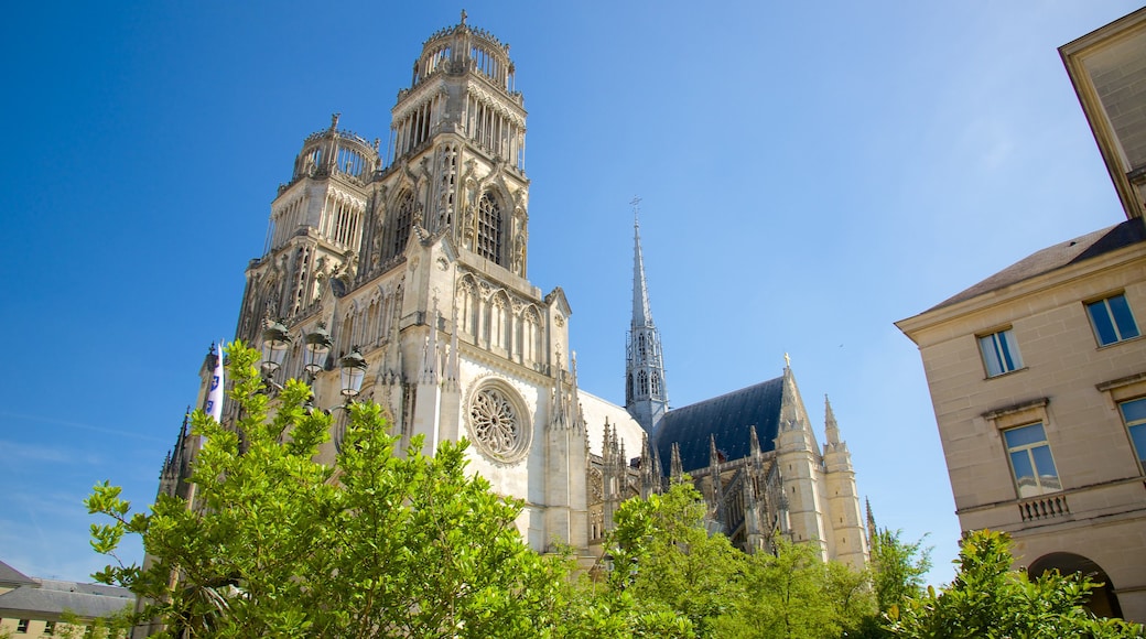 Sainte-Croix Cathedral showing a church or cathedral