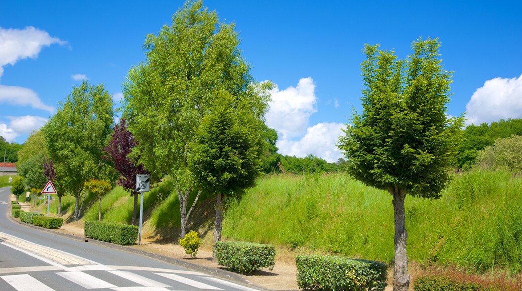 Saint-Benoit-sur-Loire featuring a garden