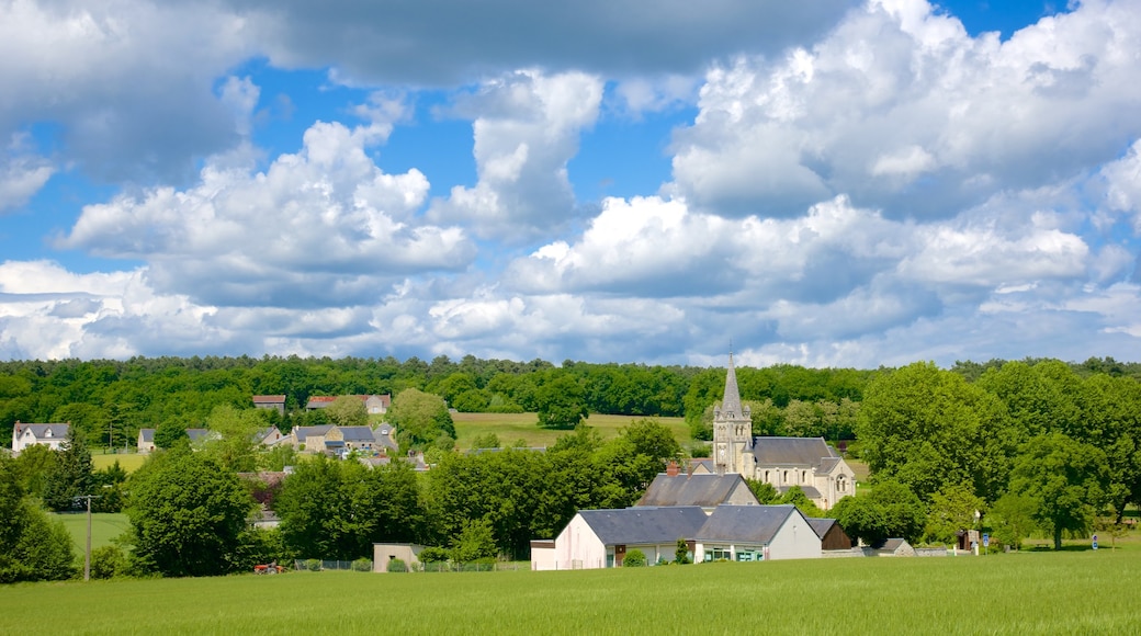 Saint-Benoit-sur-Loire ofreciendo una pequeña ciudad o pueblo y escenas tranquilas