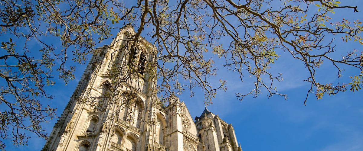 Bourges-katedralen som viser historiske bygningsværker og en kirke eller en katedral